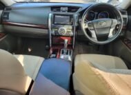 2009 Toyota Mark-X 250 G